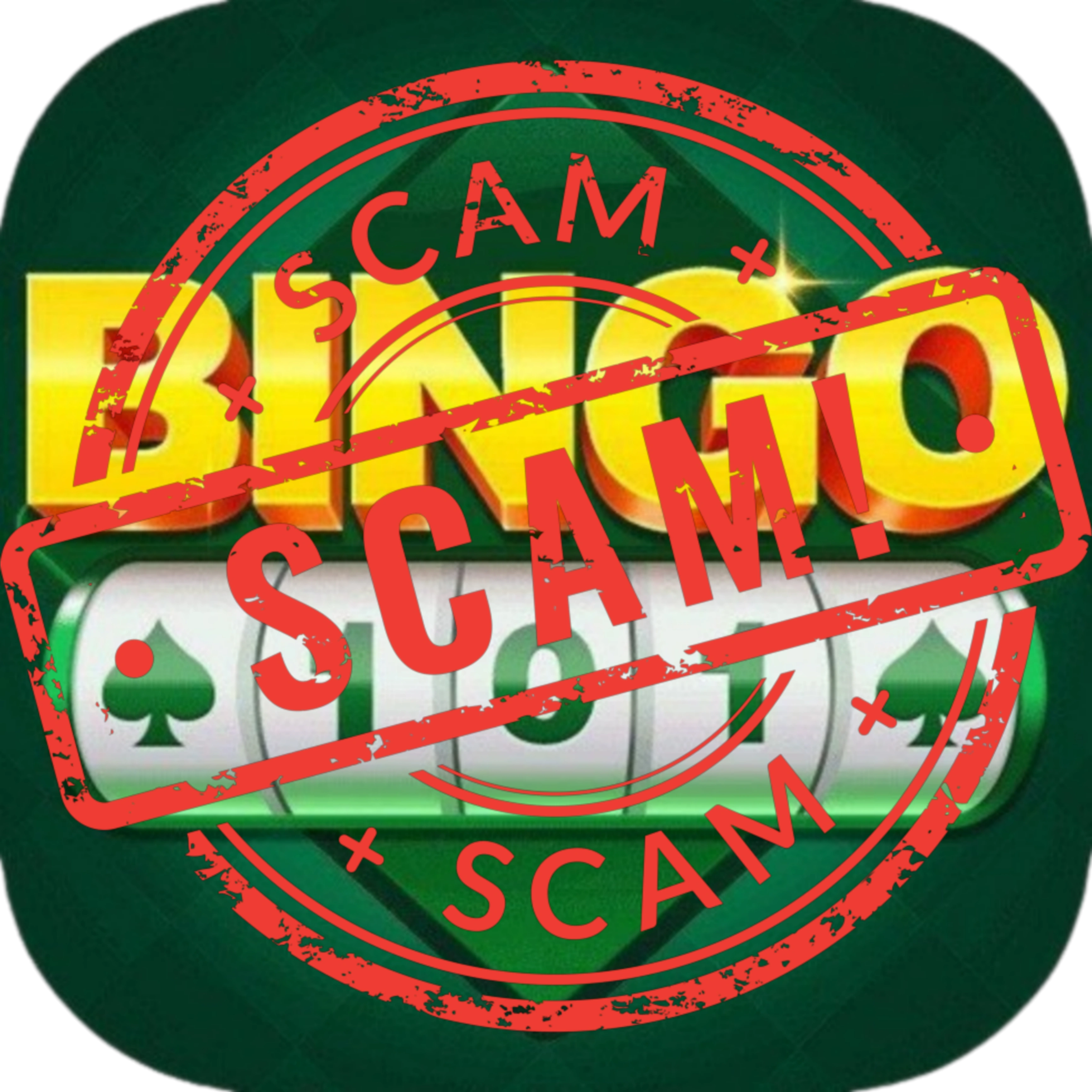 Bingo 101